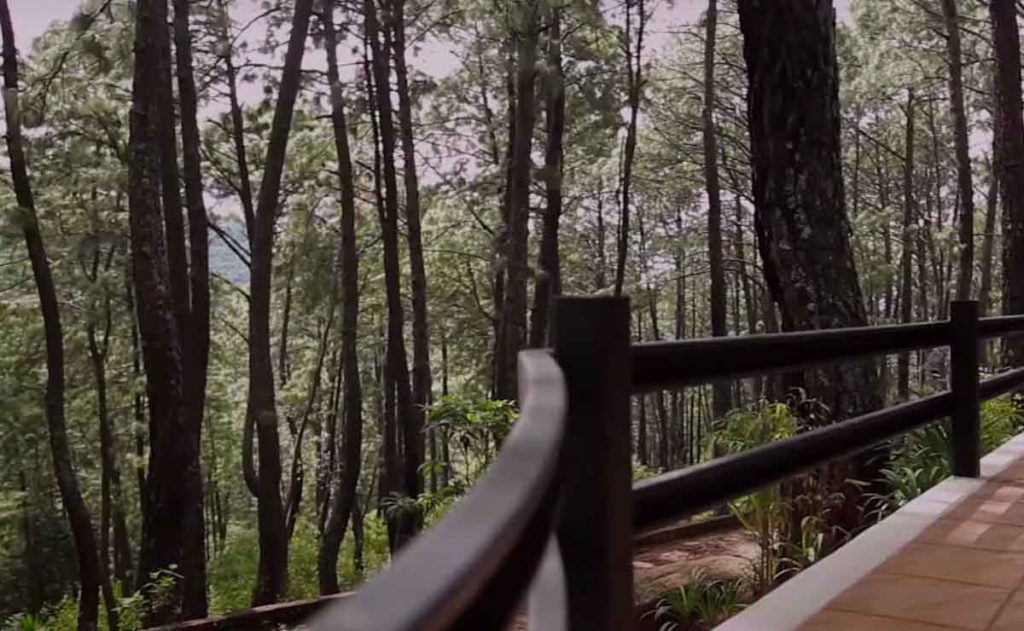 cabañas en mazamitla en el bosque para 2 personas